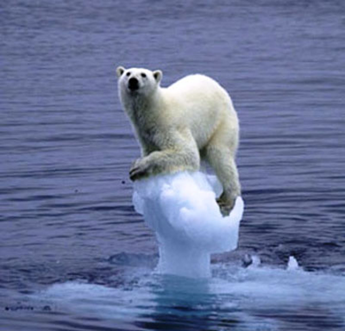 Los negacionistas climÃ¡ticos